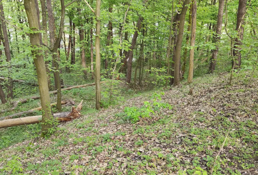 Lélek-Lyuk, Hungary